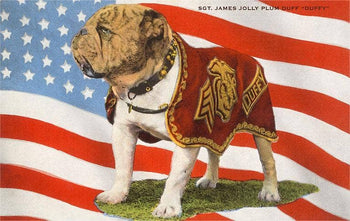 Found Image Press - Magnet ML-22 Marine Corps Bulldog, Duffy